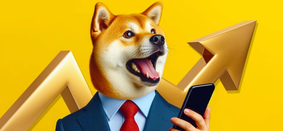 Doge Coin Nedir?